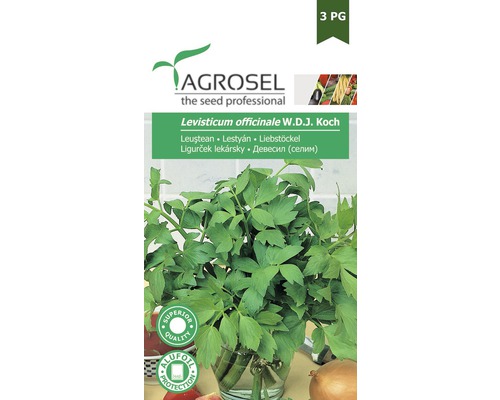 Semințe de leuștean PG3 Agrosel