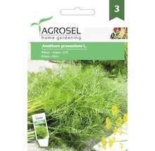 Semințe de mărar Agromar PG3 Agrosel-thumb-0