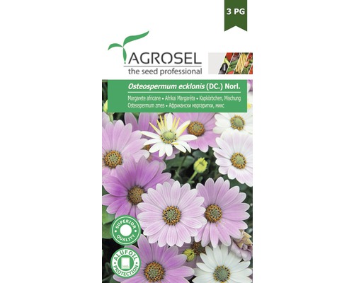 Semințe flori Agrosel margarete africane PG3-0