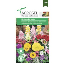 Agrosel amestec semințe de flori pentru ghivece pachet