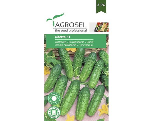 Semințe legume Agrosel castraveți Odette la bandă