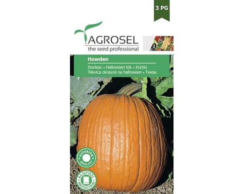 Semințe legume Agrosel dovleac Howden PG3