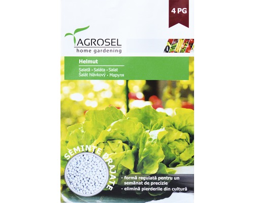 Semințe de salată Helmut PG4 Agrosel-0