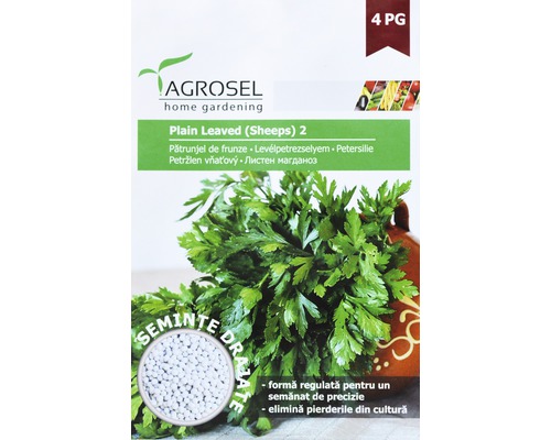 Semințe de pătrunjel PG4 Agrosel drajate