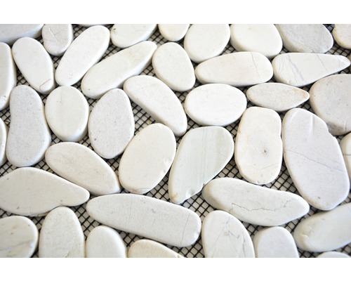 Placă de pietriș albă pe plasă