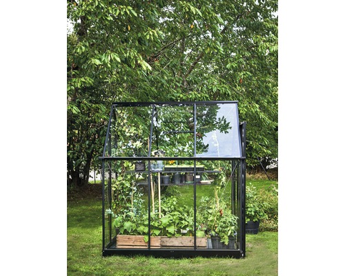 Seră cu plante în grădină