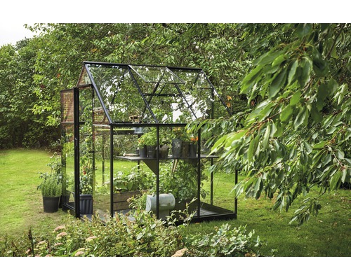 Seră cu plante în grădină