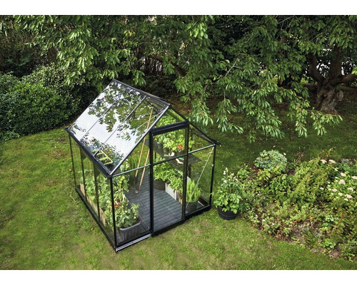 Seră cu plante în grădină