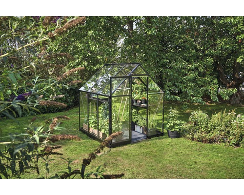 Seră cu plante în grădină