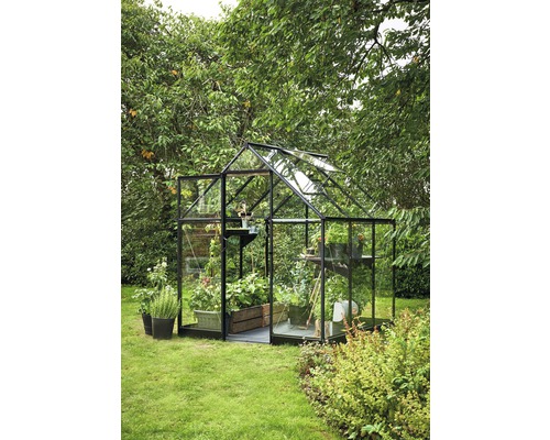 Seră cu plante în grădină.