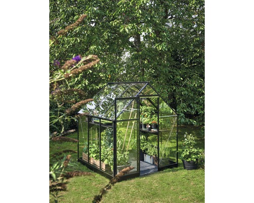 Seră cu plante într-o grădină.