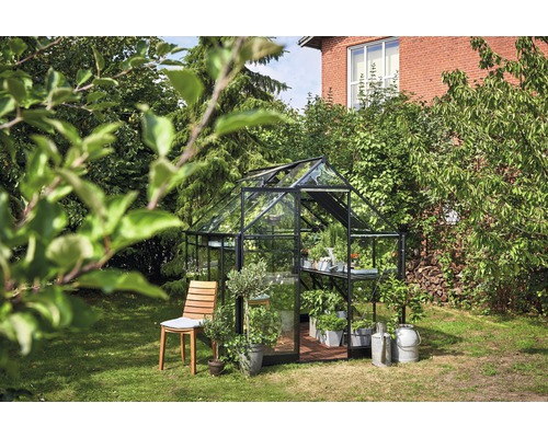 Seră cu plante pe un gazon lângă un scaun de lemn