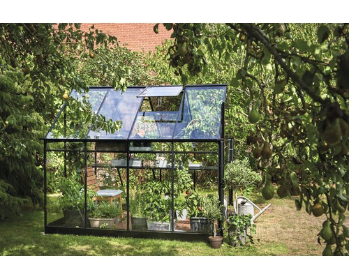 Seră cu plante în grădină