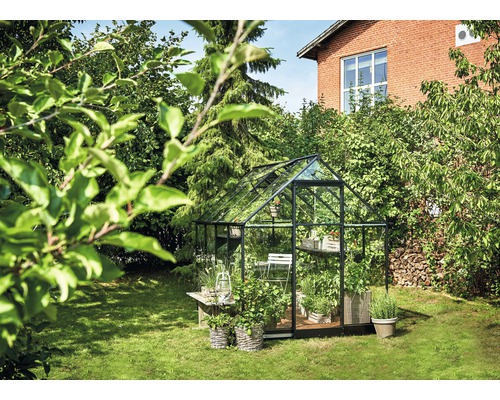 Seră cu plante în grădină