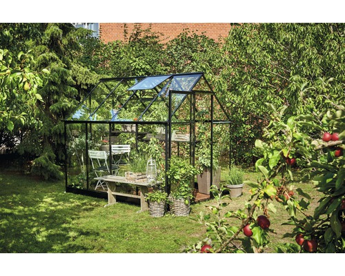 Seră cu plante și mobilier de grădină în grădină