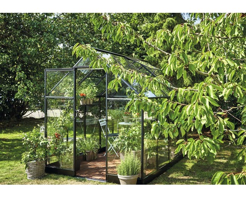 Seră cu plante și mobilier de grădină în grădină