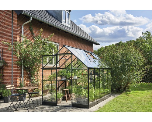 Seră de grădină din sticlă și metal cu plante