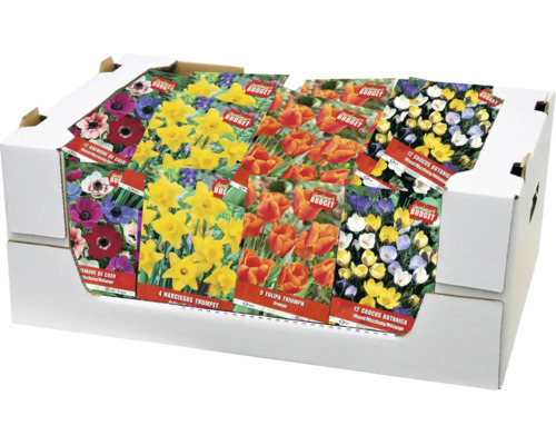 Display de vânzare cu diverse pachete de bulbi de flori, cum ar fi anemone, narcise, lalele și brândușe pentru sezonul de plantare.
