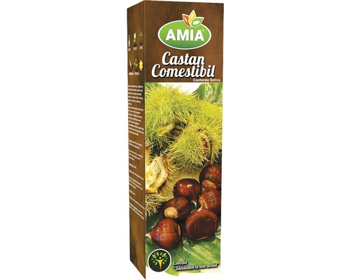 Ambalaj Amia Castan Comestibil Castanea Sativa
