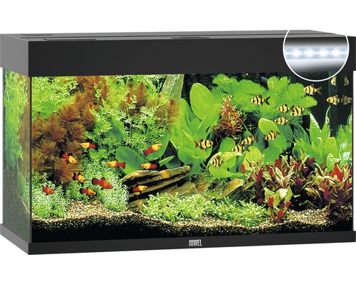 Acvariul JUWEL Rio 125 iluminare cu LED, pompă, filtru, încălzitor, fără dulap inferior, negru