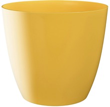 Ghiveci galben pentru interior
