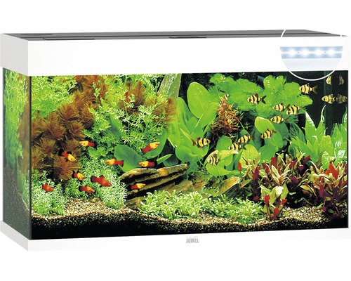 Acvariul JUWEL Rio 125 iluminare cu LED, pompă, filtru, încălzitor, fără dulap inferior, alb