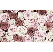 Prim-plan cu flori de trandafir în diferite nuanțe