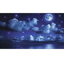 Peisaj nocturn cu lună, nori, stele și apă