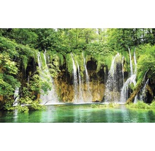 Cascade într-o pădure cu apă verde