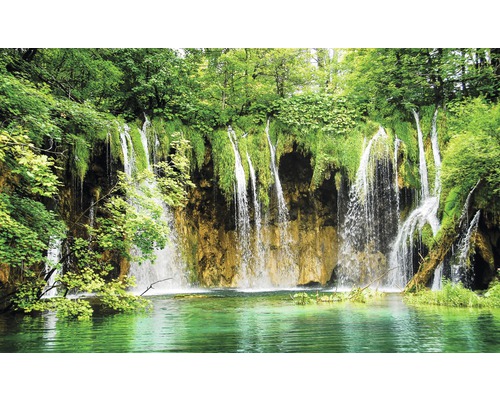 Cascade într-o pădure cu apă verde