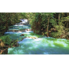 Cascadă în cascadă cu apă verde în pădure