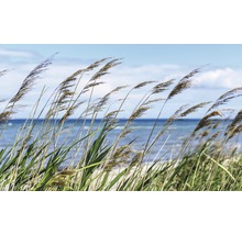 Stuf pe plajă în fața mării