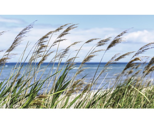 Stuf pe plajă în fața mării