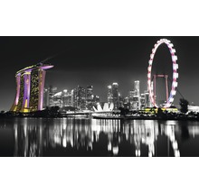 Orizontul orașului Singapore cu hotelul Marina Bay Sands și roata Singapore Flyer