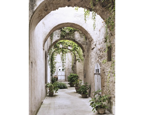 Alee de grădină cu arcade de piatră și plante în ghivece