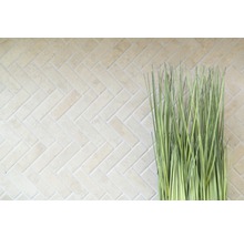 Faianță de perete deschisă la culoare, cu model herringbone și iarbă ornamentală decorativă