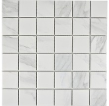 Mozaic piscină ceramic CIM Q48 CR alb 30,6x30,6 cm