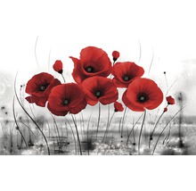 Ilustrație cu maci roșii pe fundal deschis