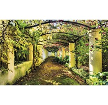 Foișor de grădină cu plante și stâlpi