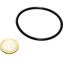 O-ring cu o monedă de un euro