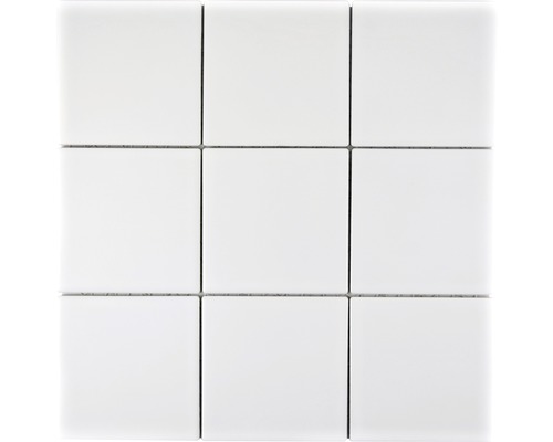 Mozaic piscină ceramic CQ 105 alb mat 30x30 cm