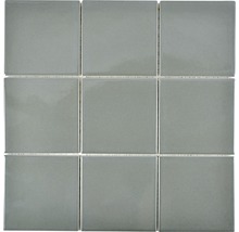 Mozaic piscină ceramic CQ 110 Quadrat gri lucios 30x30 cm