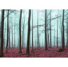 Peisaj forestier cu copaci și frunze
