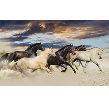 Grup de cai galopând în nisip