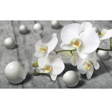 Flori decorative de orhidee și bile pe fundal modelat