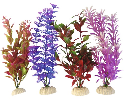 Plante acvariu colorate 4 buc