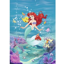 Fototapet hârtie 4-4020 Disney Edition 4 Ariel Singing 184x254 cm