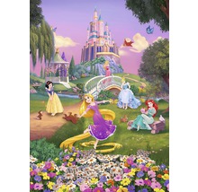 Ilustrație cu mai multe prințese din desene animate într-o grădină cu un castel în fundal