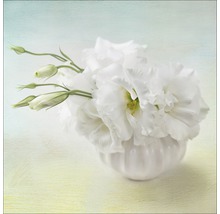 Tablou sticlă Sweet peony I 20x20 cm