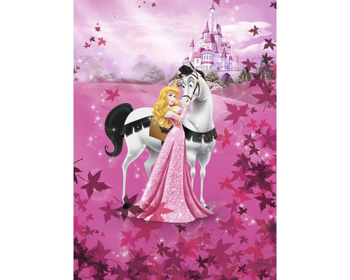 Fototapet hârtie 4-495 Disney Edition 4 Sleeping Beauty 184x254 cm
